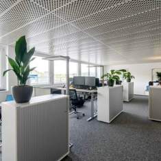Schäfer Shop AG Arbeitsplatzbereich der PFISTERER AG mit höhenverstellbaren Schreibtischen und offenen Teamflächen