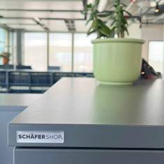 Detailaufnahme eines Schäfer Shop Stauraummöbels mit Pflanze im modernen Büro der E. Blum & Co. AG