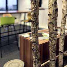 Dekorative Baumstämme als Gestaltungselement im Kreativraum von Schäfer Shop