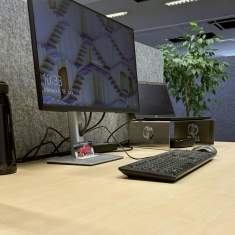 Detailaufnahme eines Arbeitsplatzes mit Monitor und Akustiktrennwand bei Lift AG