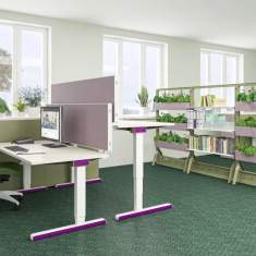 mauser Büro- und Objektmöbel conexius.w Akustikblenden an höhenverstellbaren Schreibtischen im Open-Space-Büro