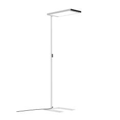 LED-Stehleuchte Waldmann LAVIGO.single G3 in weißer Ausführung mit flachem rechteckigem Leuchtenkopf