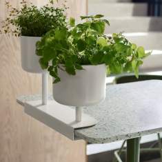 Skandiform Allé Mini desk – Detail der am Tischrand befestigten Pflanzgefäße mit Kräutern und Grünpflanzen
