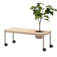 Pflanztisch Skandiform Plantéa – längliches mobiles Modul mit Baum und integriertem Pflanzgefäß