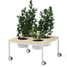 Pflanzmodul Skandiform Plantéa – mobile quadratische Variante mit mehreren dicht bepflanzten Pflanzgefäßen