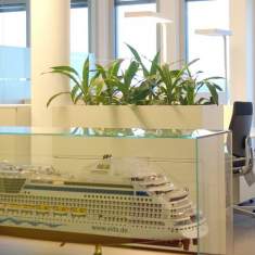 AIDA
