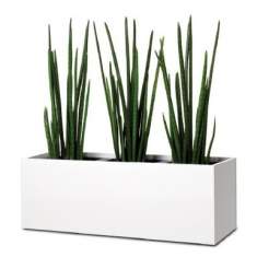Diverse Accessoires, fm Büromöbel, Pflanzgefäße Plant