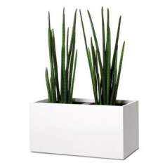 Diverse Accessoires, fm Büromöbel, Pflanzgefäße Plant