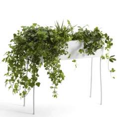 Diverse Accessoires, offecct, Green Pedestals