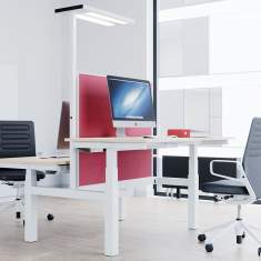 Höhenverstellbarer Schreibtisch elektrisch ergonomische Schreibtische Team-Tisch Sitz-Stehtisch Büro Reiss Avaro Q Bench
Doppelarbeitsplatz
höhenverstellbar
Sanft-Anlauf/Sanft-Stopp