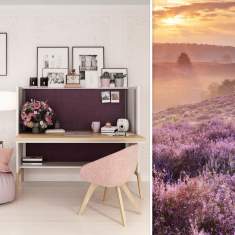 höhenverstellbarer Schreibtisch ergonomische Schreibtische ergonomisch Holz mit Stellwand Sichtschutz Mikomas Nest
höhenverstellbar
