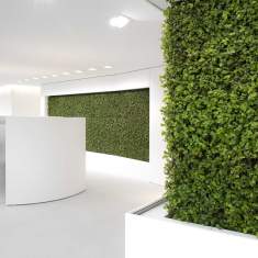 Moderne Bürogestaltung, Moderne Büroeinrichtung, Raiffeisenbank Bündner Rheintal Chur
