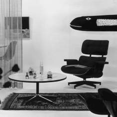 Vitra Eames House Whale