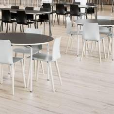 Besucherstuhl grau Besucherstühle Holz Konferenzstühle Konferenzstuhl Cafeteria Stühle, Hunziker, Mood