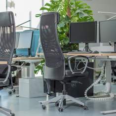 Büroplanung Vögtli Büro Design AG PSI Online