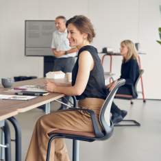 Freischwinger Sedus se:flex Besucherstuhl