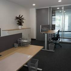 FLEXoffices 1