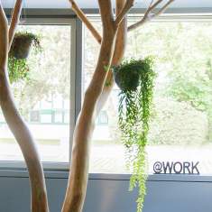 roots-Coworking 2