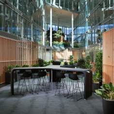 Planung WSA OFFICE PROJECT ALLREAL