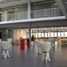 Cassiopée Coworking 0