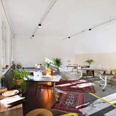 The Nest  1