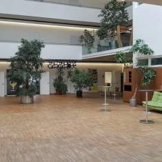 Coworking CoWo