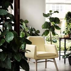 Loungesessel Holz Sessel Lounge gelb Skandiform Jeffersson