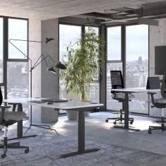 Counterstühle Nowy Styl X-Line