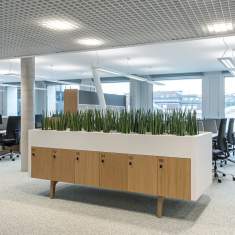 Raumplanung Planung Neudoerfler Post am Rochus