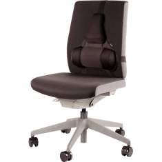Fellowes Professional Series Profi Rückenstütze
ergonomisch