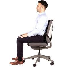 Fellowes Professional Series Profi Rückenstütze
ergonomisch