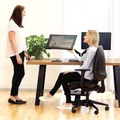 Monitorhalter Tischhalterungen Monitorhalterungen Fellowes Eppa™ Doppel Monitorarm - Schwarz