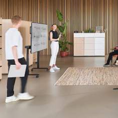 Mobiler Bildschirmwagen se:lab Monitor caddy
