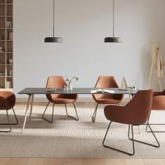 Clubsessel braun Cocktailsessel Leder Lounge Sessel Loungemöbel, profim, Fan