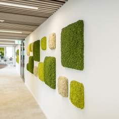 Büroplanung Archroma GmbH Vögtli Büro Design AG - Planung