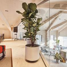 Büroplanung Gräub Office ZKB Innovation Park