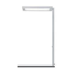 Tischleuchte Waldmann Tischlampe LAVIGO.core Tischaufbauleuchte